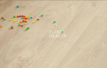 Kronopol Platinium Cuprum d2583 Дуб Асти фото 2 | FLOORDEALER